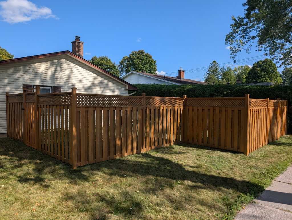 pxl 20250911 193728549 pxl 20250911 193728549